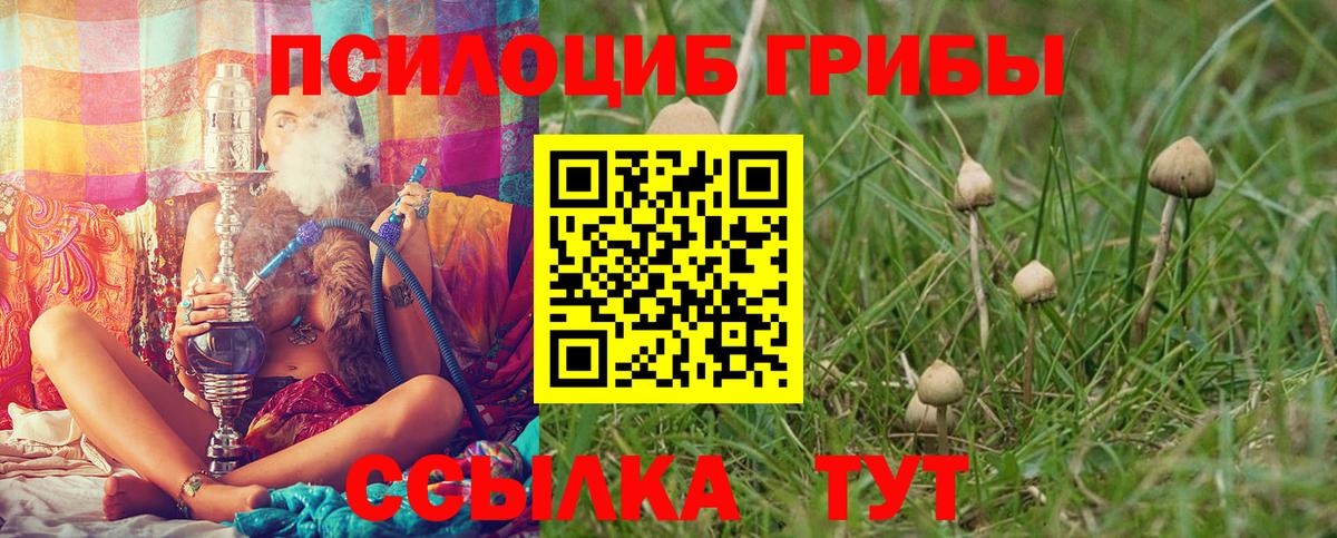Псилоцибиновые грибы MAGIC MUSHROOMS Ханты-Мансийск